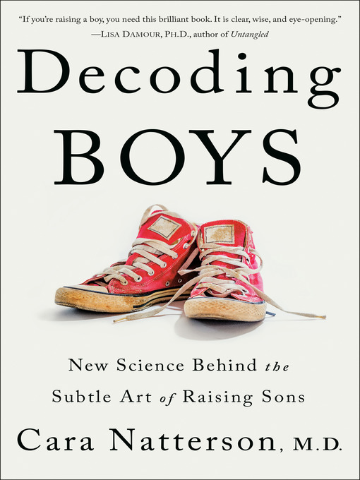 Cover image for Decoding Boys